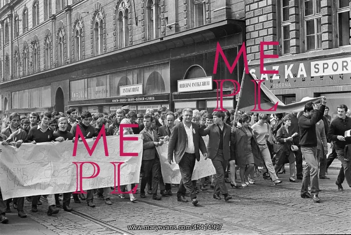 : Protest - march - demonstration - banner - flag - Brno : Protest - march - demonstration - banner - flag - Brno