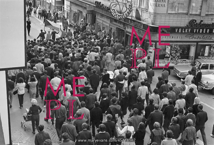 : Protest - march - demonstration - banner - flag - Brno : Protest - march - demonstration - banner - flag - Brno