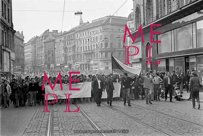 : Protest - march - demonstration - banner - flag - Brno : Protest - march - demonstration - banner - flag - Brno