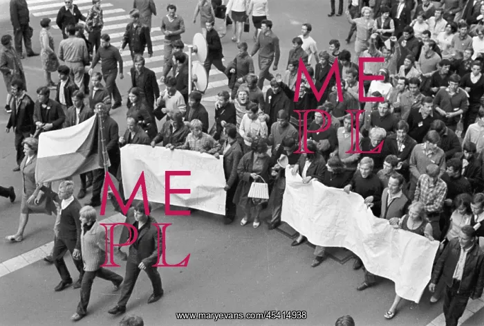 : Protest - march - demonstration - banner - flag - Brno : Protest - march - demonstration - banner - flag - Brno