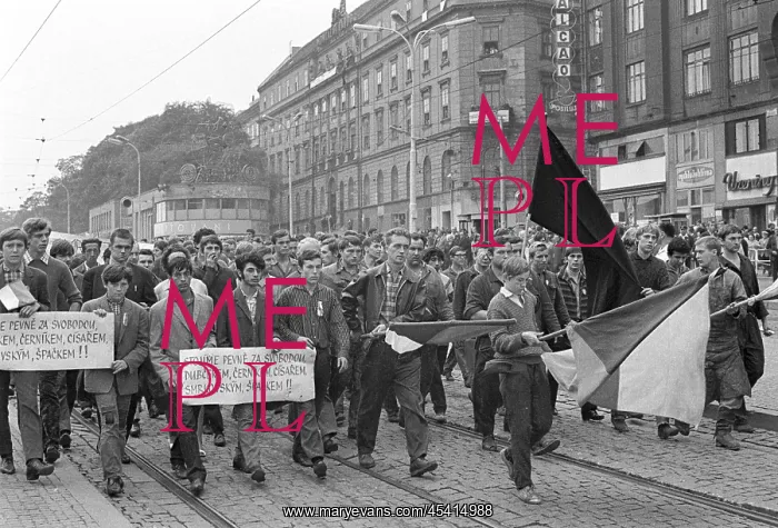: Protest - march - demonstration - banner - flag - Brno : Protest - march - demonstration - banner - flag - Brno
