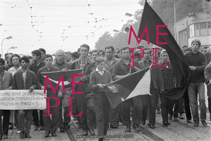 : Protest - march - demonstration - banner - flag - Brno : Protest - march - demonstration - banner - flag - Brno