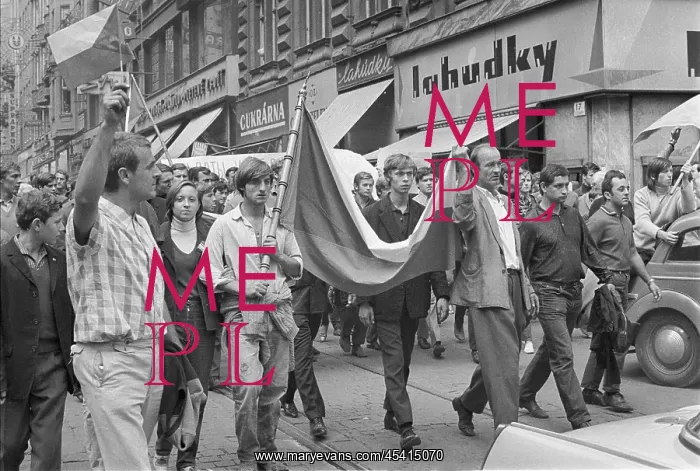 : Protest - march - demonstration - banner - flag - Brno : Protest - march - demonstration - banner - flag - Brno