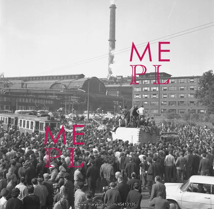 : Protest - Ostrava : Protest - Ostrava