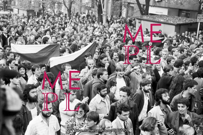 : Protest - protester - demonstration - flags : Protest - protester - demonstration - flags