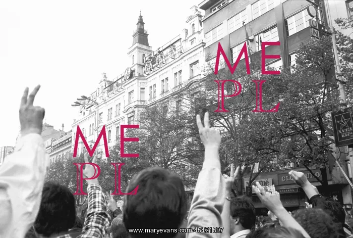 : Protest - protester - demonstration - V victory : Protest - protester - demonstration - V victory