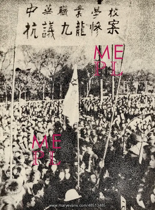  : Protesters Against the Kowloon Acts