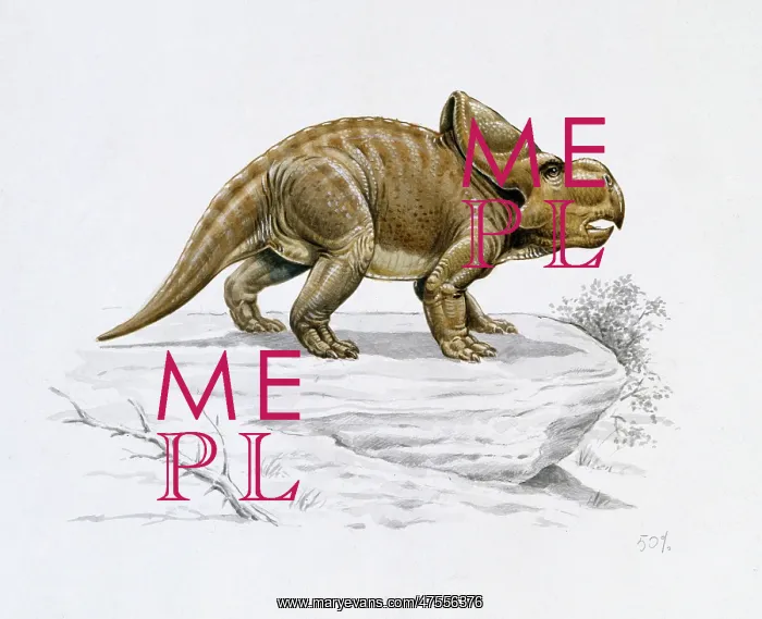 : Protoceratops : Protoceratops