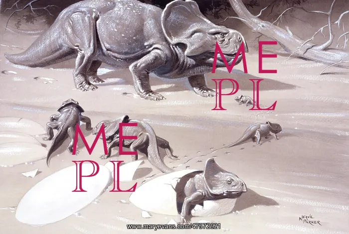 : Protoceratops : Protoceratops