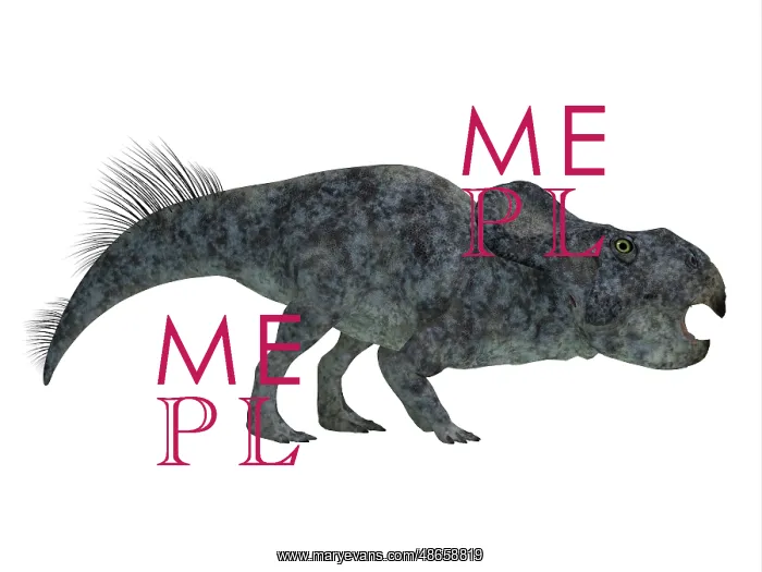 : Protoceratops dinosaur on white background : Protoceratops dinosaur on white background