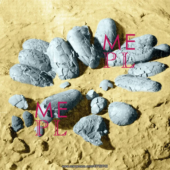 : Protoceratops Eggs, Cretaceous Dinosaur : Protoceratops Eggs, Cretaceous Dinosaur