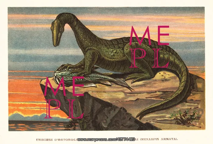 : Protorosaurus speneri feeding on a Menaspis armata : Protorosaurus speneri feeding on a Menaspis armata