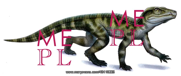 : Protosuchus, an early Jurassic crocodylomorph : Protosuchus, an early Jurassic crocodylomorph