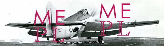 : Prototype Fairey Gannet, VR546 : Prototype Fairey Gannet, VR546