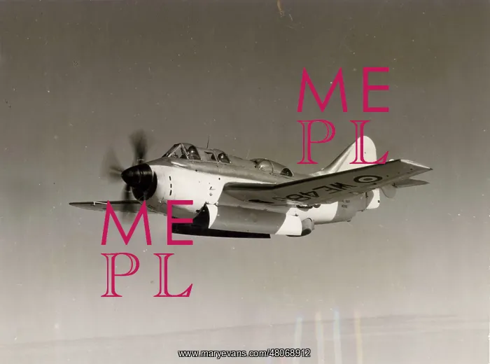 : The third prototype Fairey Gannet WE488 : The third prototype Fairey Gannet WE488