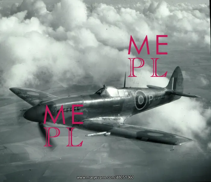 : Prototype Supermarine Spitfire XII DP845 : Prototype Supermarine Spitfire XII DP845