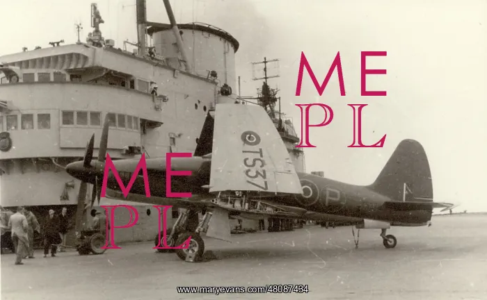 : The third prototype Westland Wyvern, TS378 : The third prototype Westland Wyvern, TS378