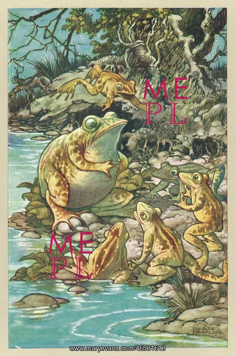 : PROUD FROG (FOLKARD) : PROUD FROG (FOLKARD)