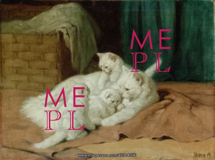 : The Proud Mother ' white cat & kittens : The Proud Mother ' white cat & kittens