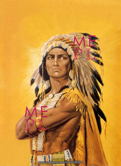  : Proud Native American
