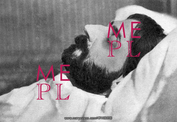 : PROUST DEAD PHOTO : PROUST DEAD PHOTO