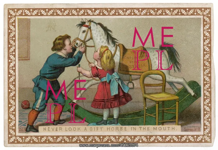  : PROVERB / GIFT HORSE