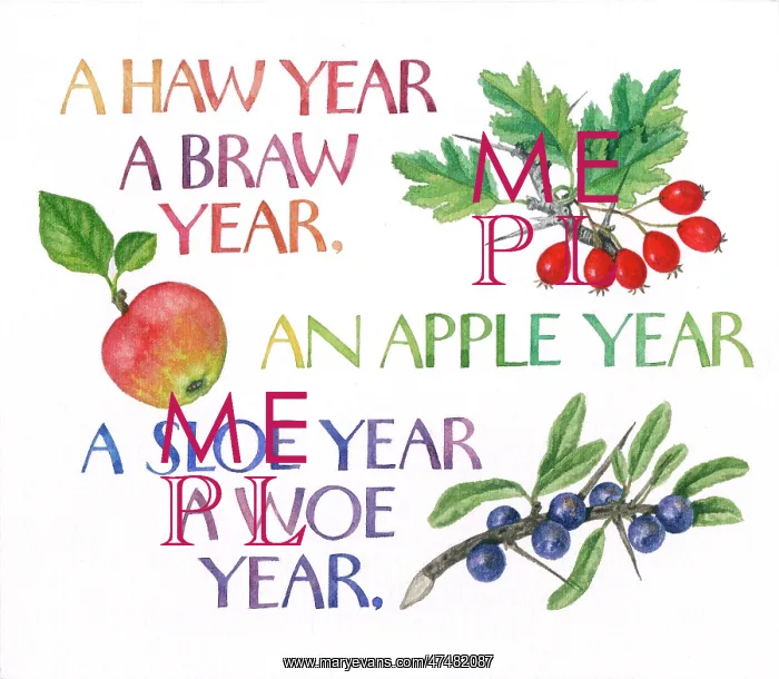  : Proverbs and Sayings