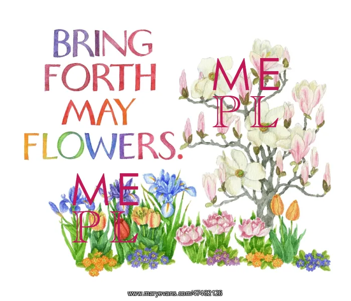  : Proverbs and Sayings