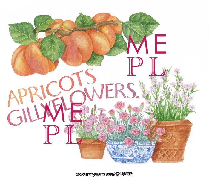  : Proverbs and Sayings
