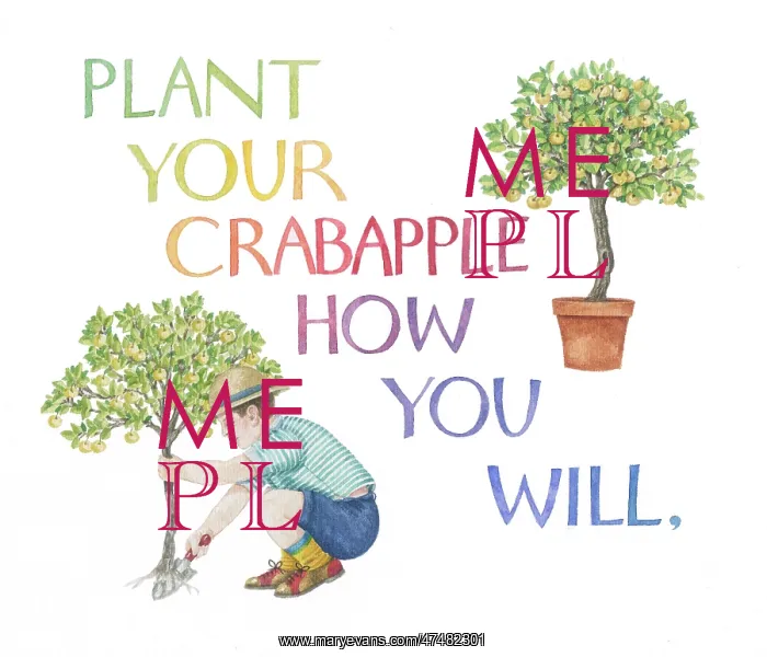  : Proverbs and Sayings