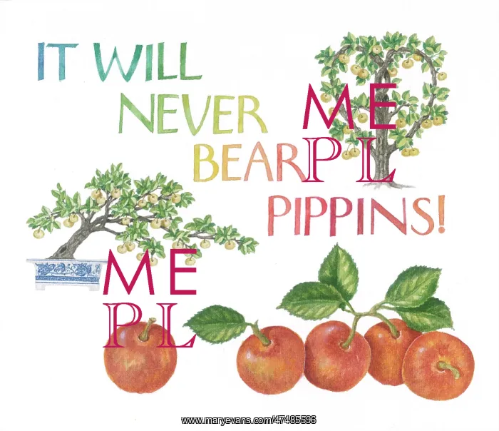  : Proverbs and Sayings