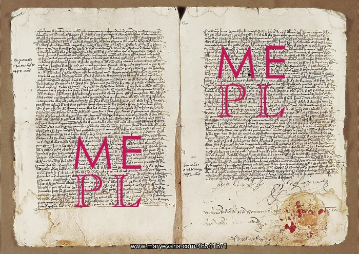 : Provision appointing Columbus : Provision appointing Columbus