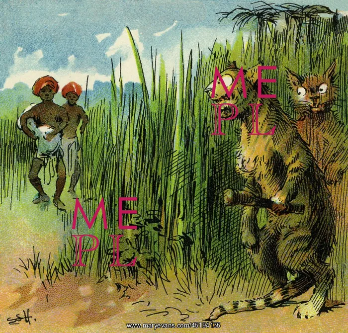 : The Prudent Tiger : The Prudent Tiger