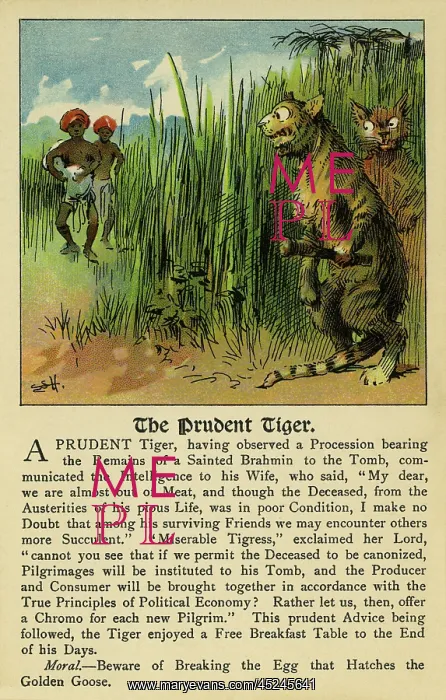 : The prudent tiger : The prudent tiger