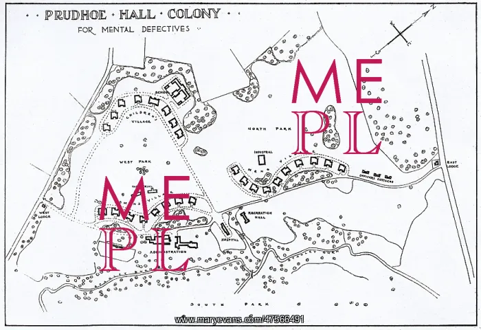 : Prudhoe Colony for Mental Defectives : Prudhoe Colony for Mental Defectives
