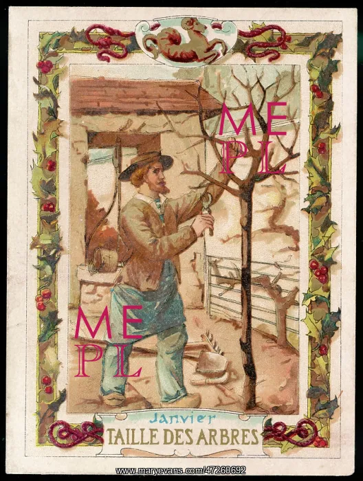 : PRUNING A TREE