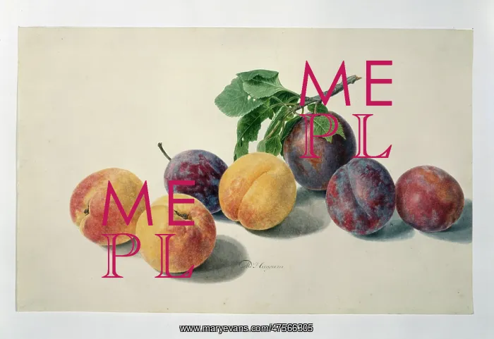 : Prunus sp. peaches and plums : Prunus sp. peaches and plums