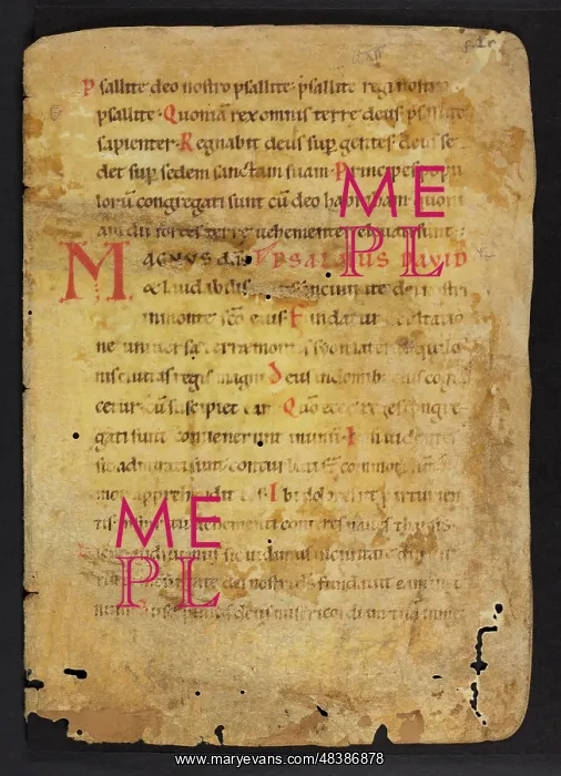 : Psalter (Fragment) : Psalter (Fragment)