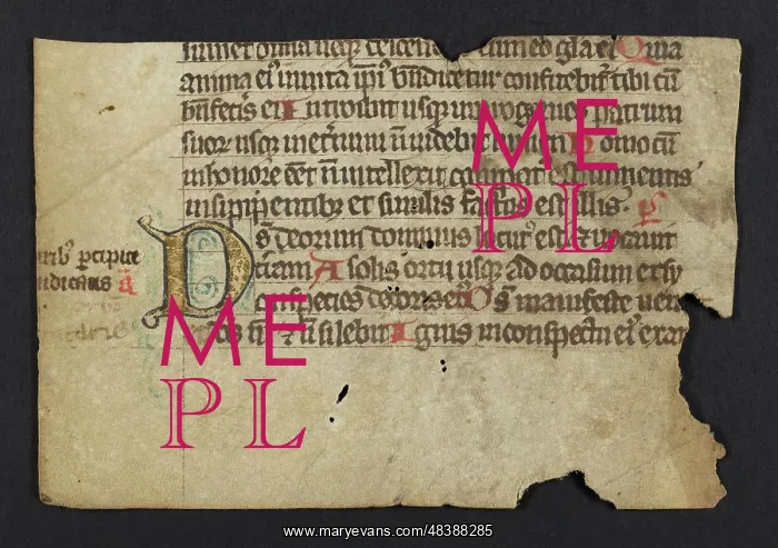 : Psalter (Fragment) : Psalter (Fragment)