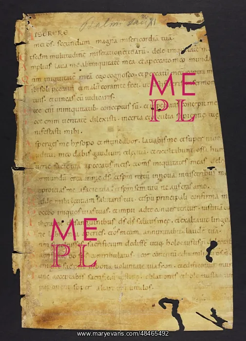 : Psalter (Fragment) : Psalter (Fragment)
