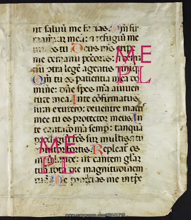 : Psalter (Fragments) : Psalter (Fragments)