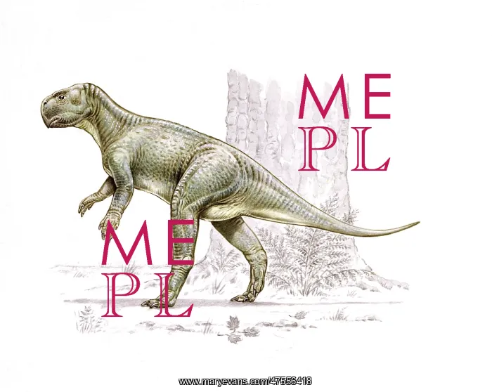 : Psittacosaurus : Psittacosaurus