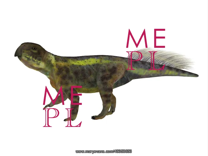 : Psittacosaurus dinosaur on white background : Psittacosaurus dinosaur on white background