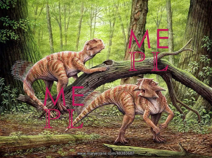 : Psittacosaurus dinosaurs in a Cretaceous forest : Psittacosaurus dinosaurs in a Cretaceous forest