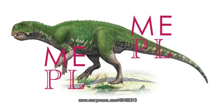 : Psittacosaurus mongoliensis, a prehistoric era dinosaur : Psittacosaurus mongoliensis, a prehistoric era dinosaur