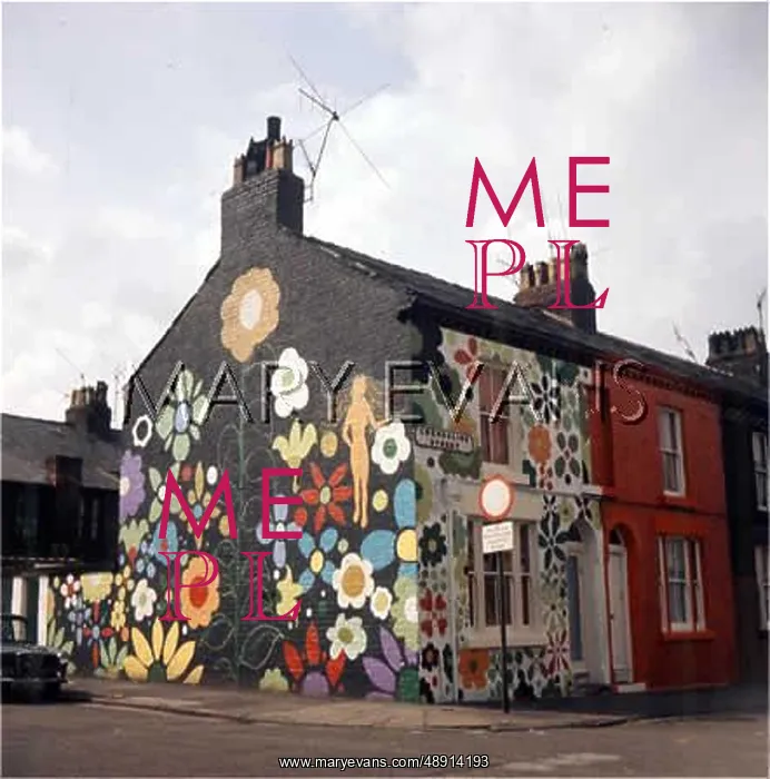 : PSYCHEDELIC HOUSE : PSYCHEDELIC HOUSE