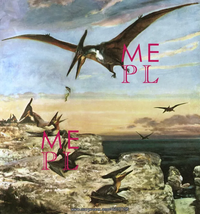 : Pteranodon : Pteranodon