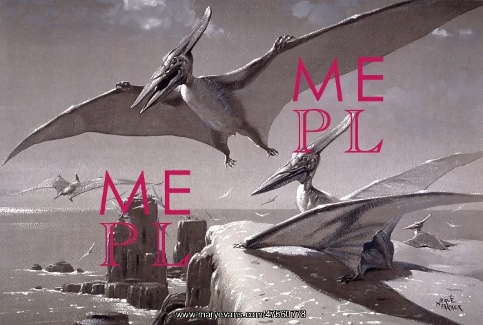 : Pteranodon : Pteranodon