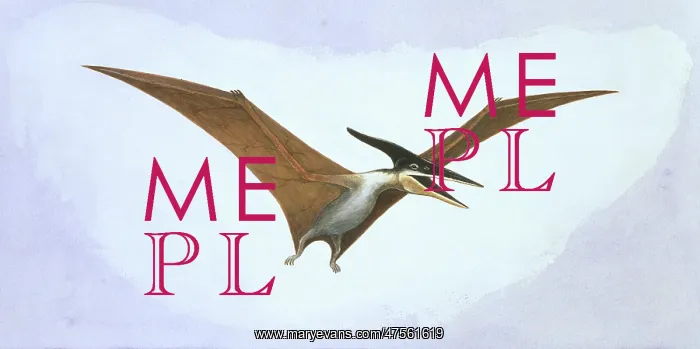 : Pteranodon : Pteranodon