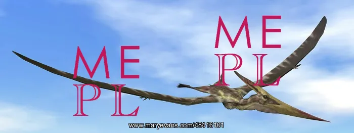 : Pteranodon dinosaur flying in the blue sky : Pteranodon dinosaur flying in the blue sky